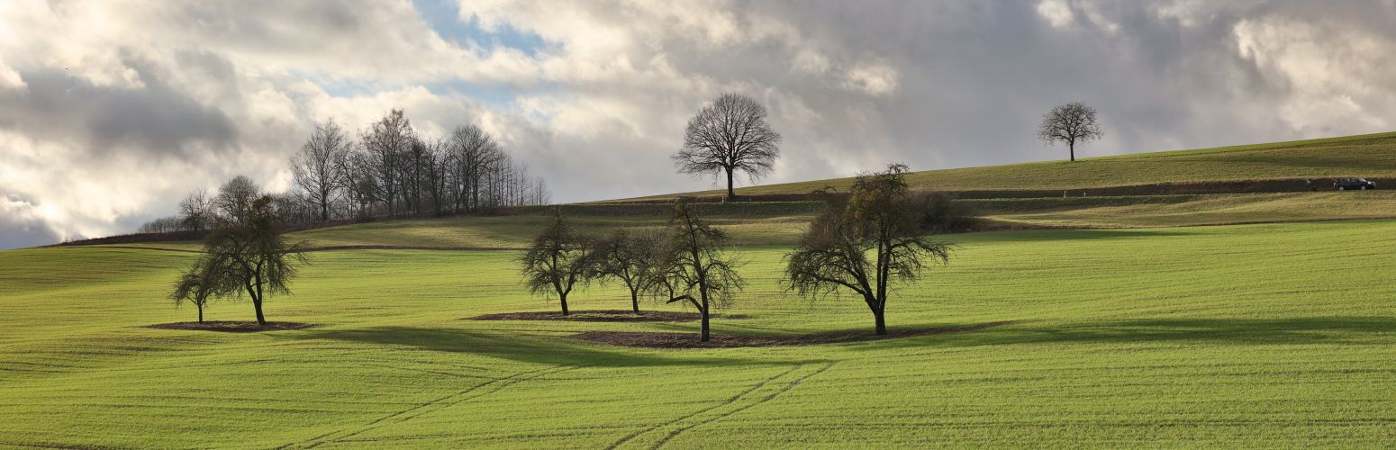 Willkommen auf der Webseite von Walshausen in der Südwestpfalz