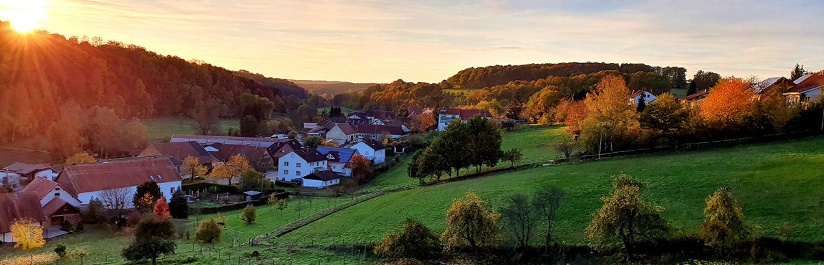 Willkommen auf der Webseite von Walshausen in der Südwestpfalz