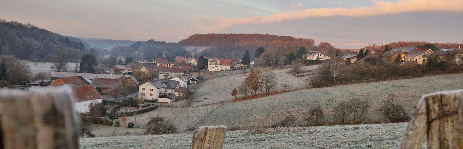 Willkommen auf der Webseite von Walshausen in der Südwestpfalz